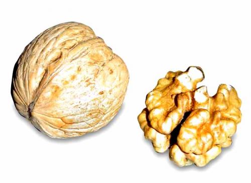 Walnut during pregnancy